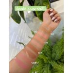 رژگونه پودری فلورمار تست رنگ