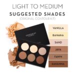 پالت کانتور پودری Light To Medium آناستازیا - تصویر 3