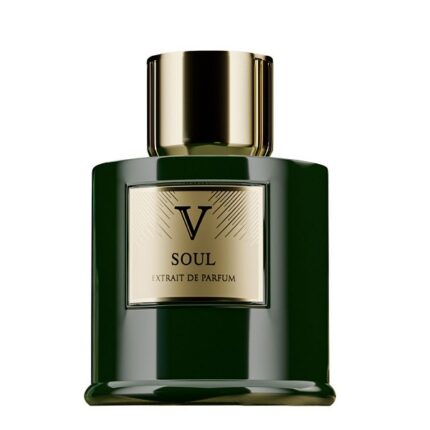 اکستریت پرفیوم مردانه Soul روبرتو ویزاری