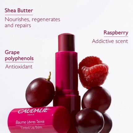 بالم لب رنگی وینو تراپیست کدلی رنگ Raspberry