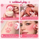 رژگونه استامپی پنجه گربه ای شیگلم - تصویر 3